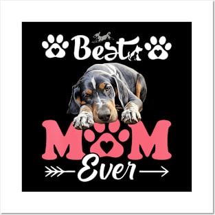 Best Mom Bluetick Coonhound Dog Ever Women Love Mother Posters and Art